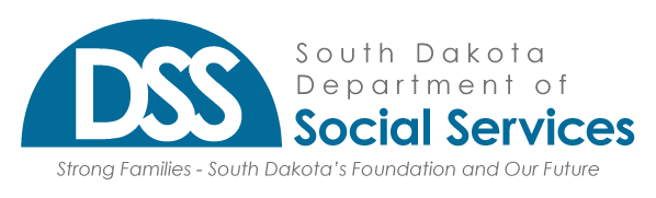 dsslogo